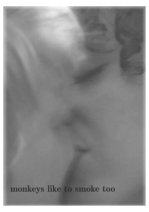 Monkeys Like to Smoke Too (2023) poster
