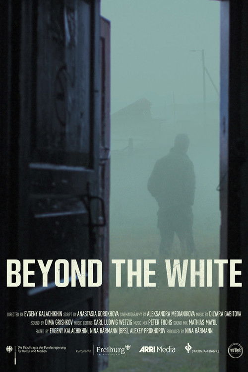 Beyond the White (2021) poster