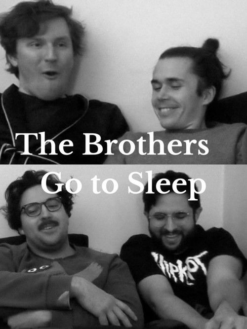 The Brothers Go to Sleep (2022) poster