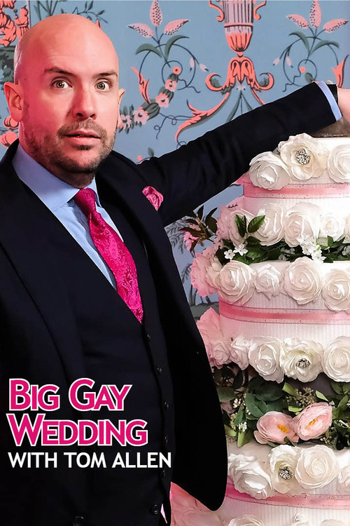 Big Gay Wedding with Tom Allen (2024) poster