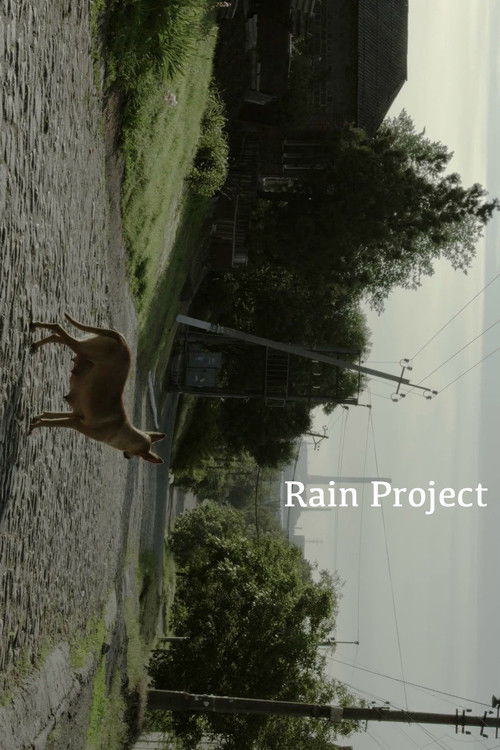 Rain Project (2017) poster