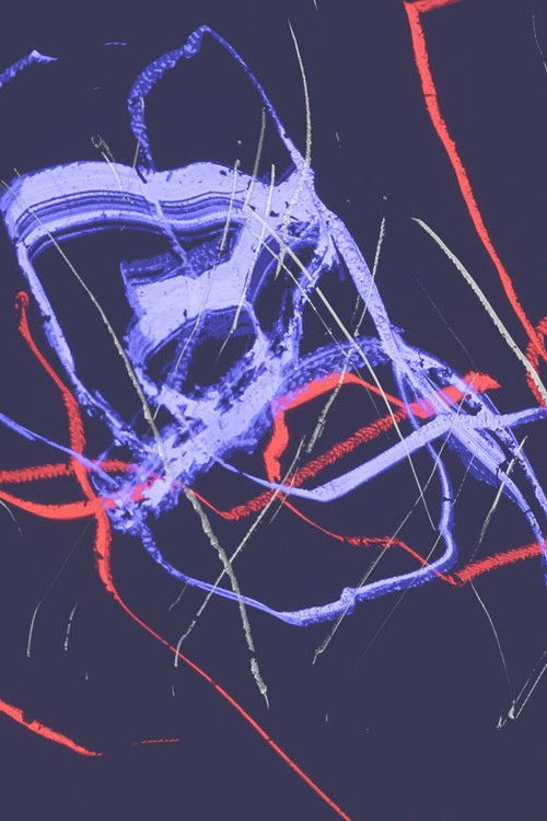 But One Bird Sang Not (2018) poster