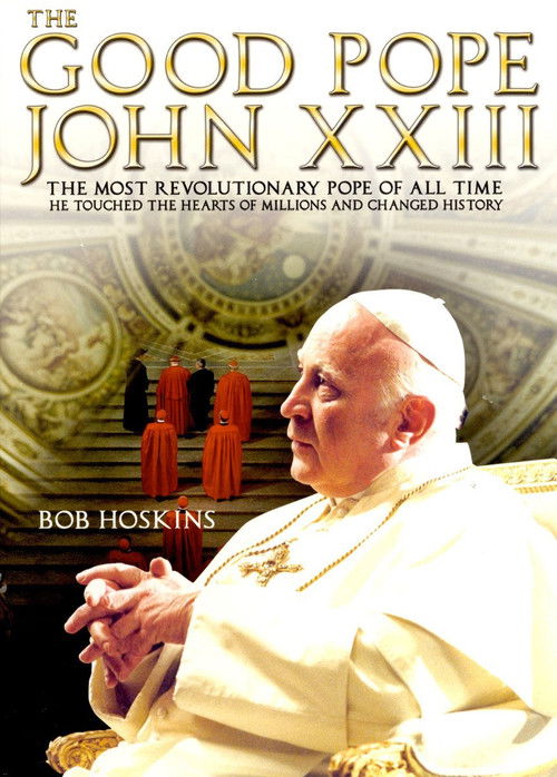 Il Papa buono (2003) poster