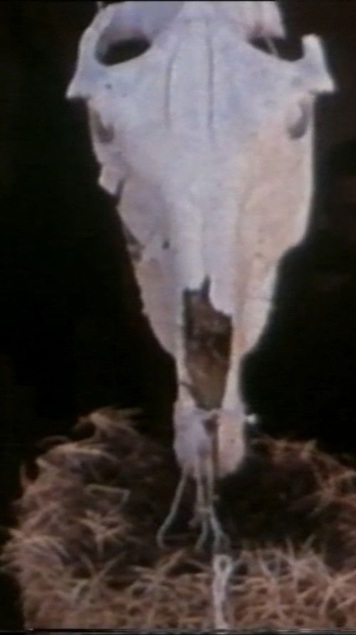 Goreme (1963) poster