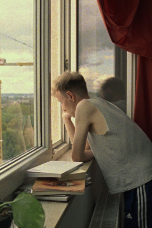 Der Junge mit dem Perlenohrring (2024) poster