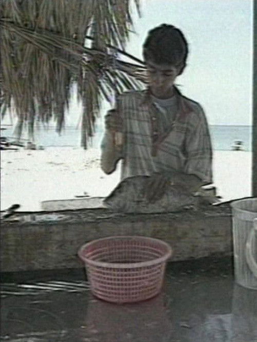 Cradle of Sun (2001) poster