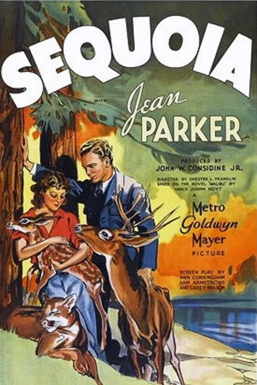 Sequoia (1935) poster