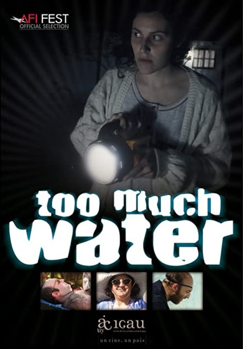 Too Much Water (2012) poster