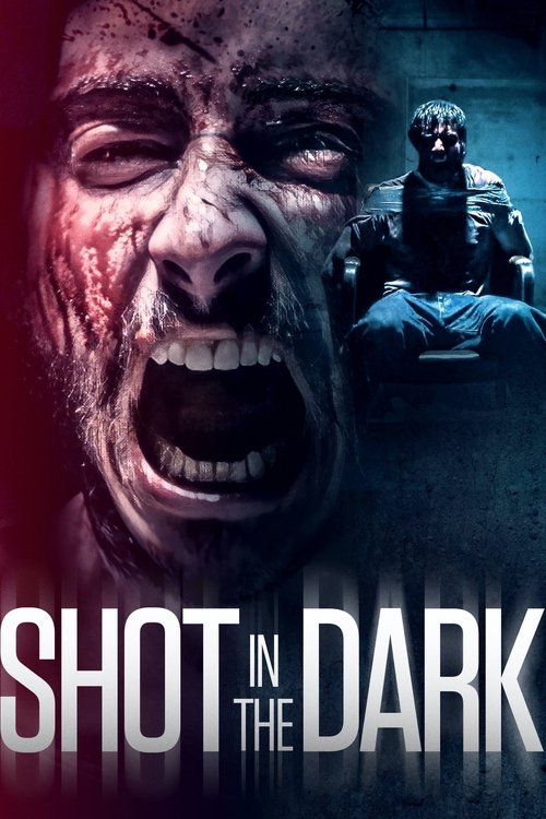 Shot in the Dark (2021) poster