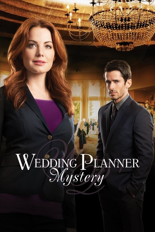 Wedding Planner Mystery (2014) poster