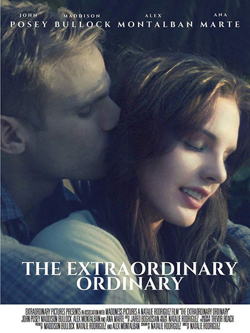 The Extraordinary Ordinary (2019) poster