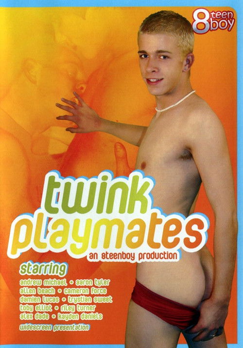Twink Playmates (2007) poster