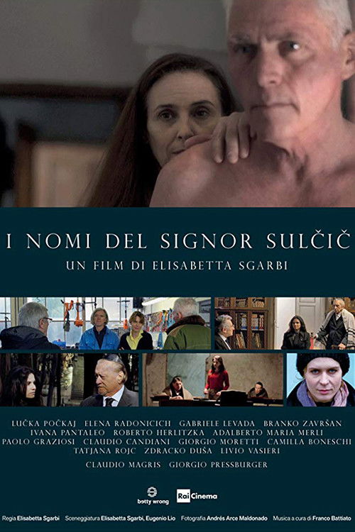 The Names of Mr. Sulcic (2019) poster