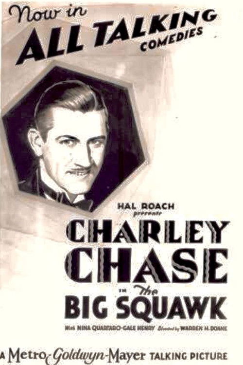 The Big Squawk (1929) poster