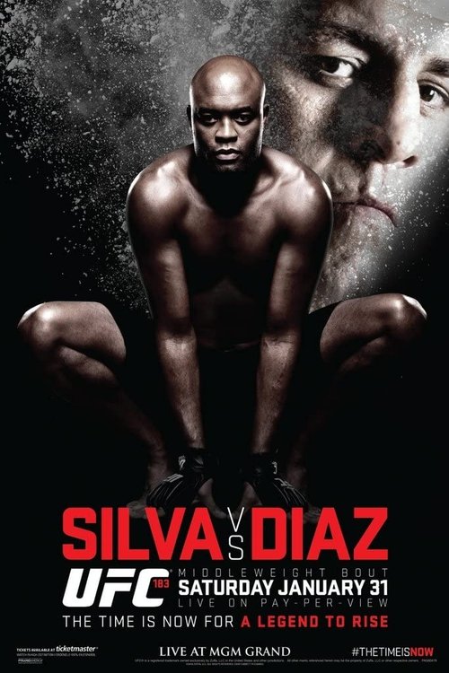 UFC 183: Silva vs. Diaz (2015) poster
