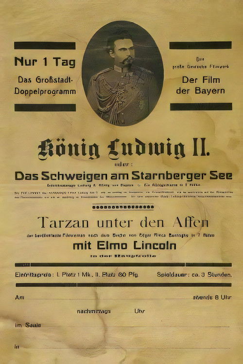 Das Schweigen am Starnbergersee (1920) poster