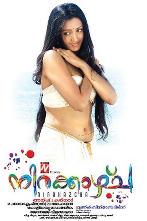 Nirakazhcha (2010) poster