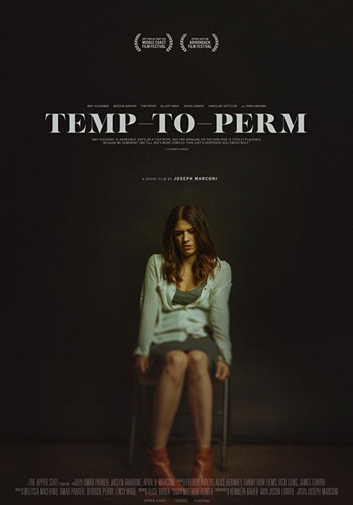 Temp-To-Perm (2017) poster