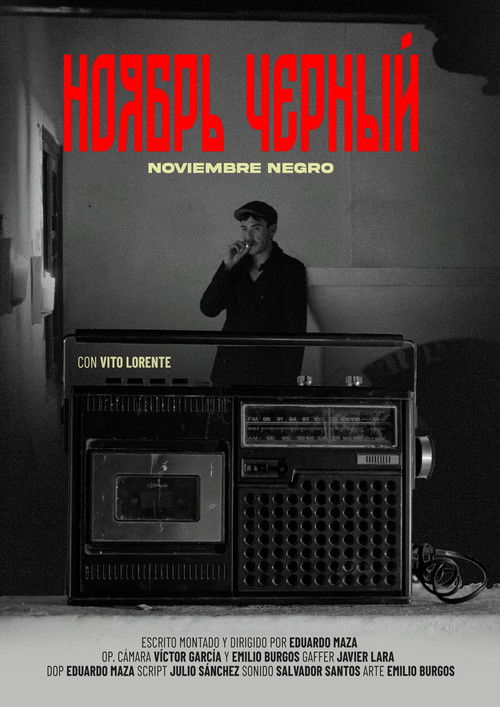 Noviembre Negro poster