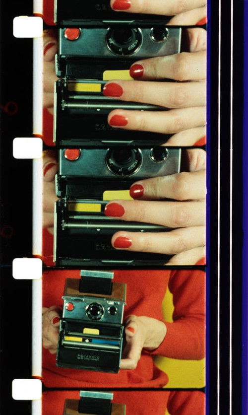 Forget Me Not (1979) poster