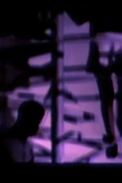 Enredando as pessoas (1995) poster