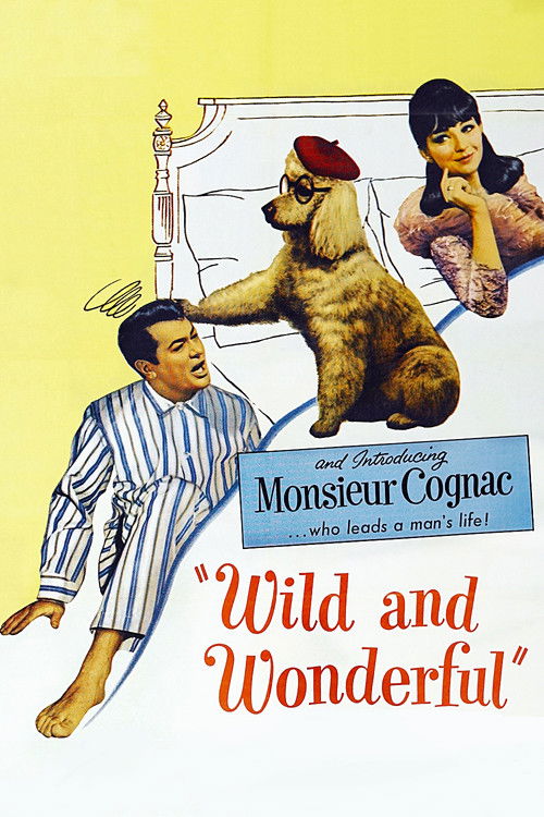 Wild and Wonderful (1964) poster