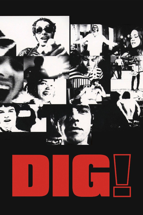 Dig! (2004) poster