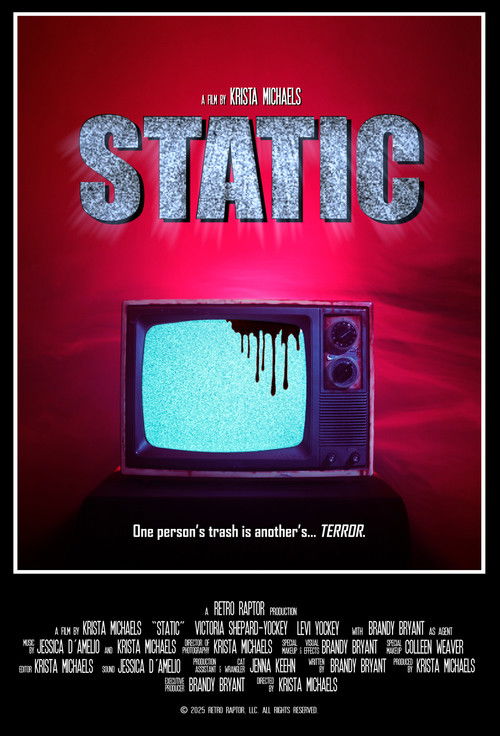 Static (2025) poster