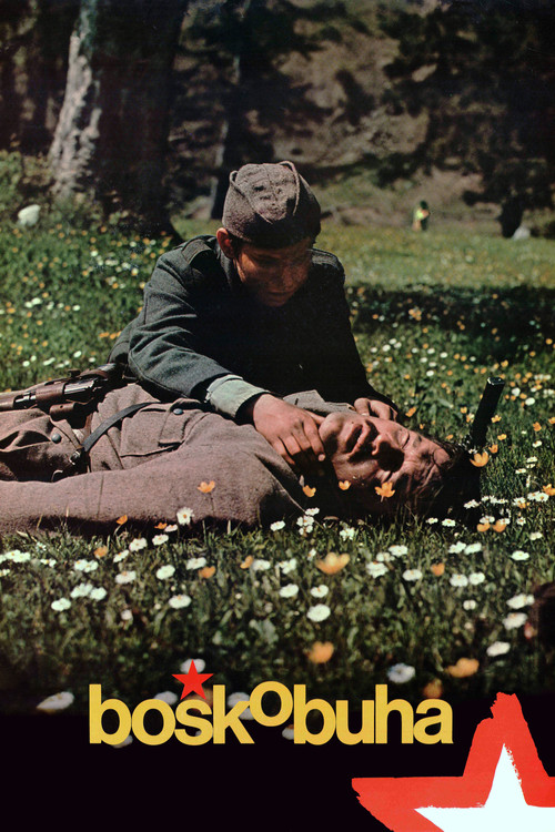 Boško Buha (1978) poster