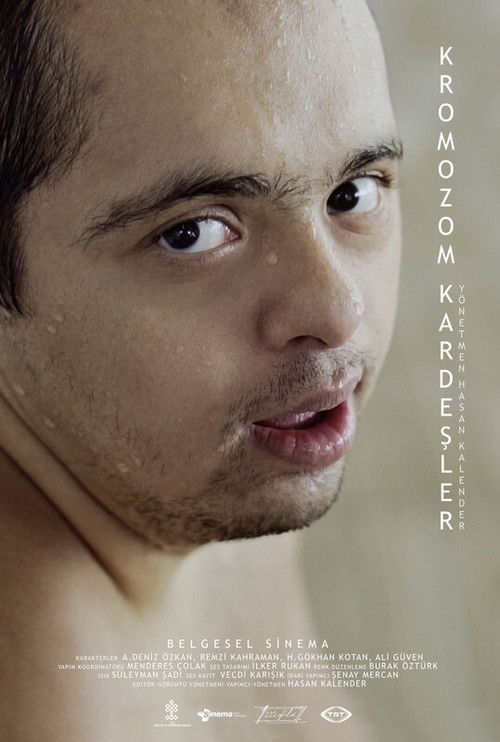 Kromozom Kardeşler (2019) poster