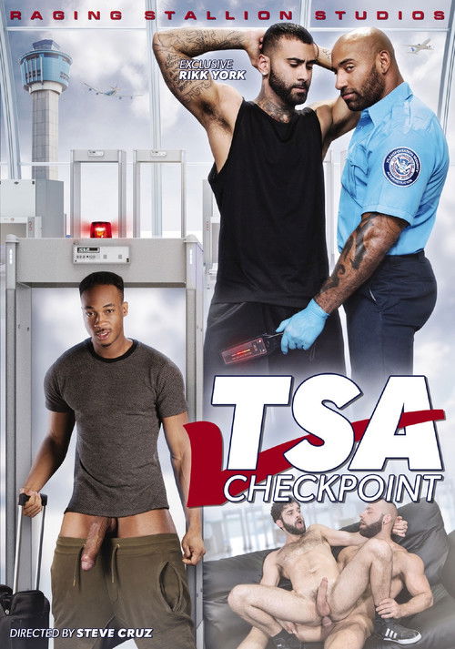 TSA Checkpoint (2017) poster