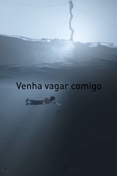 Venha Vagar Comigo (2017) poster
