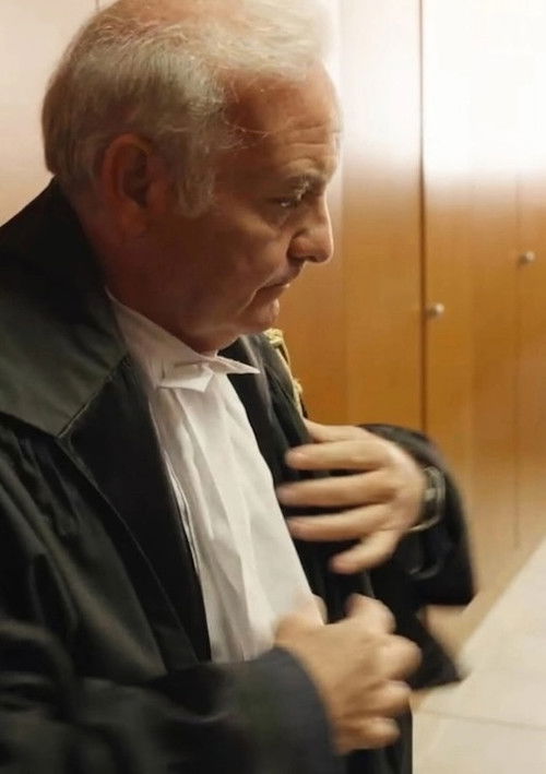 Dike – vita da magistrato (2024) poster