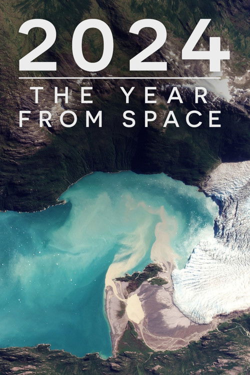 2024: The Year From Space (2024) poster