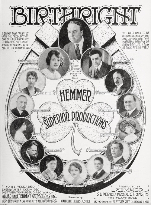 Birthright (1920) poster
