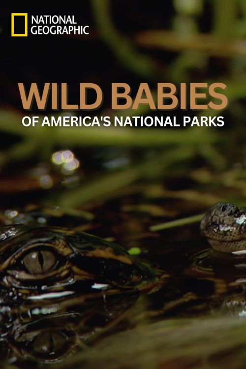 Wild Babies of America's National Parks (2023) poster