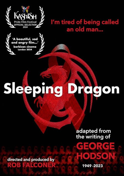 Sleeping Dragon (2024) poster