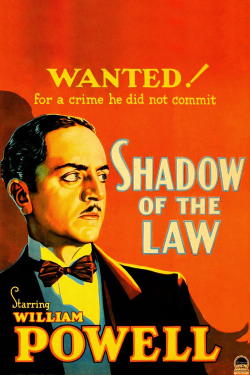 Shadow of the Law (1930) poster