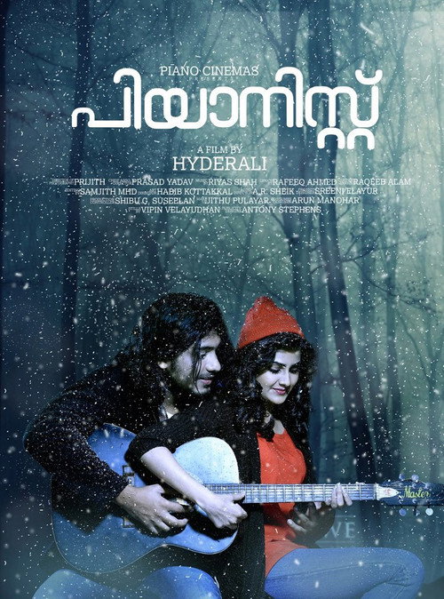 Pianist (2014) poster