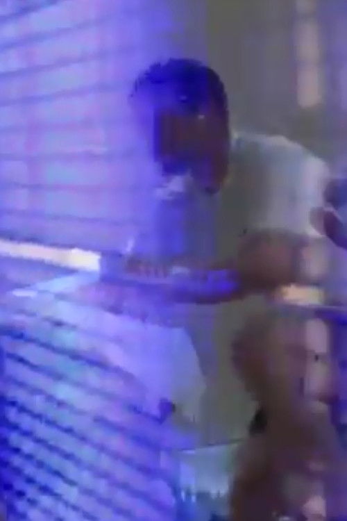 The World of the Hard and the Soft (2015) poster