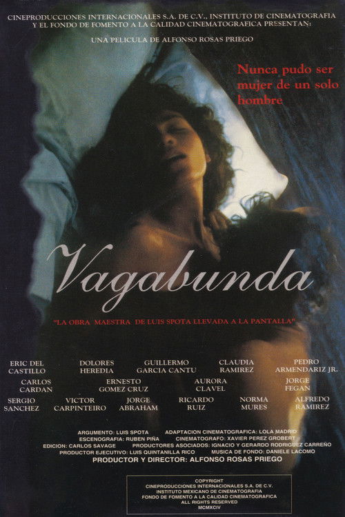 Vagabunda (1994) poster
