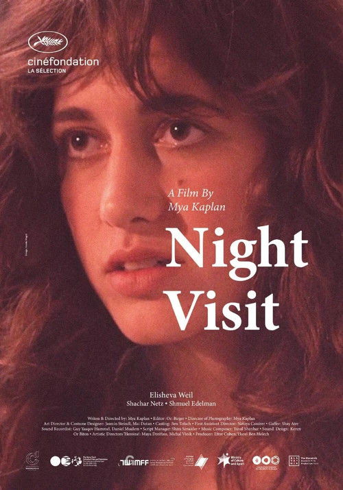 Night Visit (2021) poster