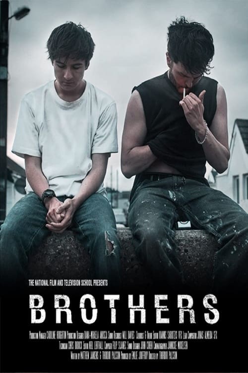 Brothers (2015) poster
