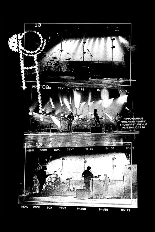 Hippo Campus: Dream Streams (2020) poster