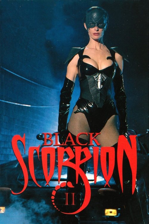 Black Scorpion II: Aftershock (1997) poster