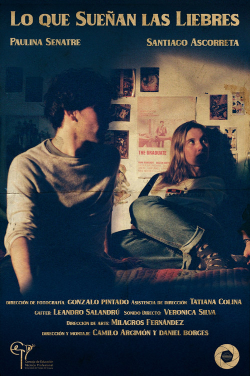 The Hares Dream (2019) poster