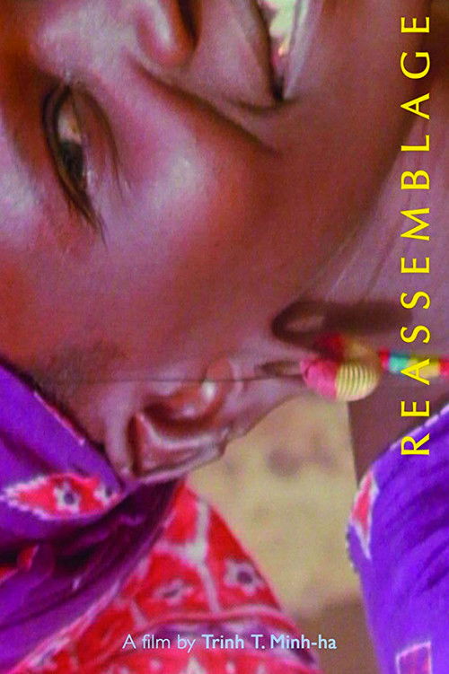 Reassemblage: From the Firelight to the Screen (1983) poster