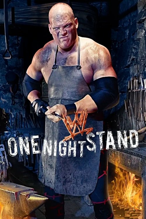 WWE One Night Stand 2008 (2008) poster