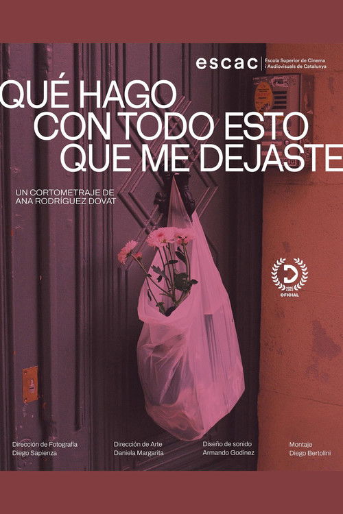 Qué hago con todo esto que me dejaste (2025) poster