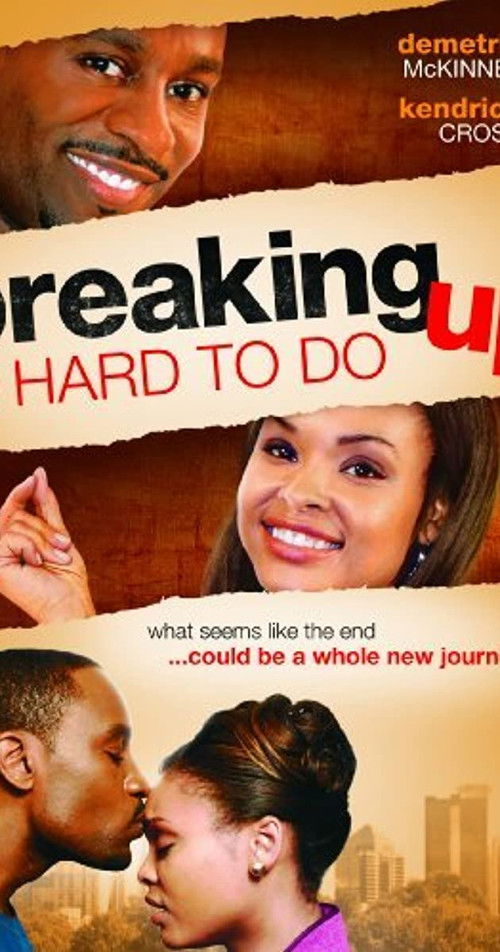 Breaking Up Is Hard to Do (2010) poster